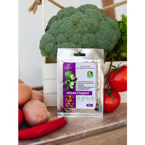 Нематодин - биологически активный комплекс 10г 295₽