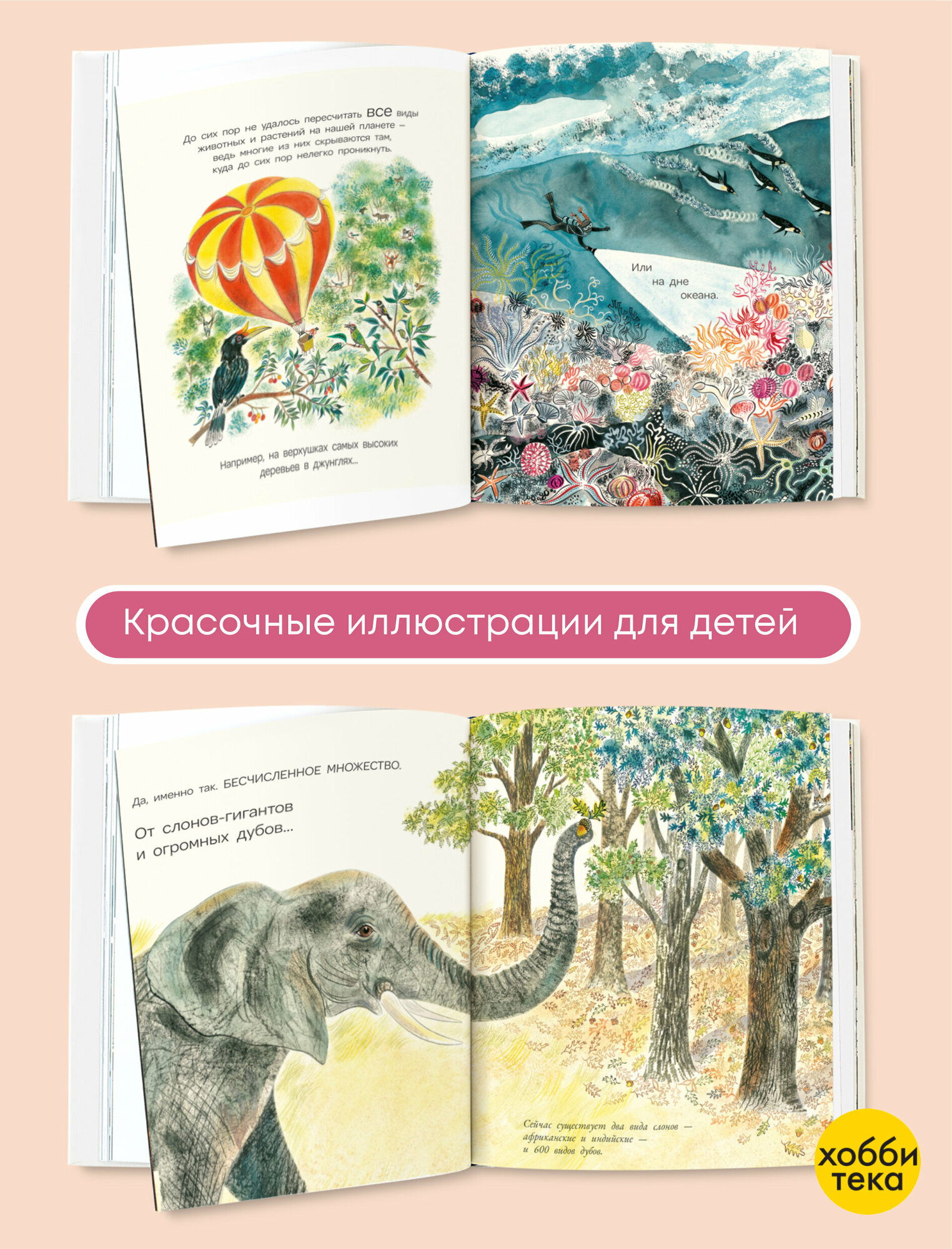 Многообразие жизни на Земле (Дэвис Н.) - фото №5