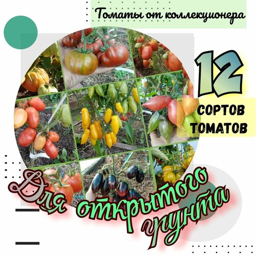 Семена томатов, 12 сортов, для открытого грунта