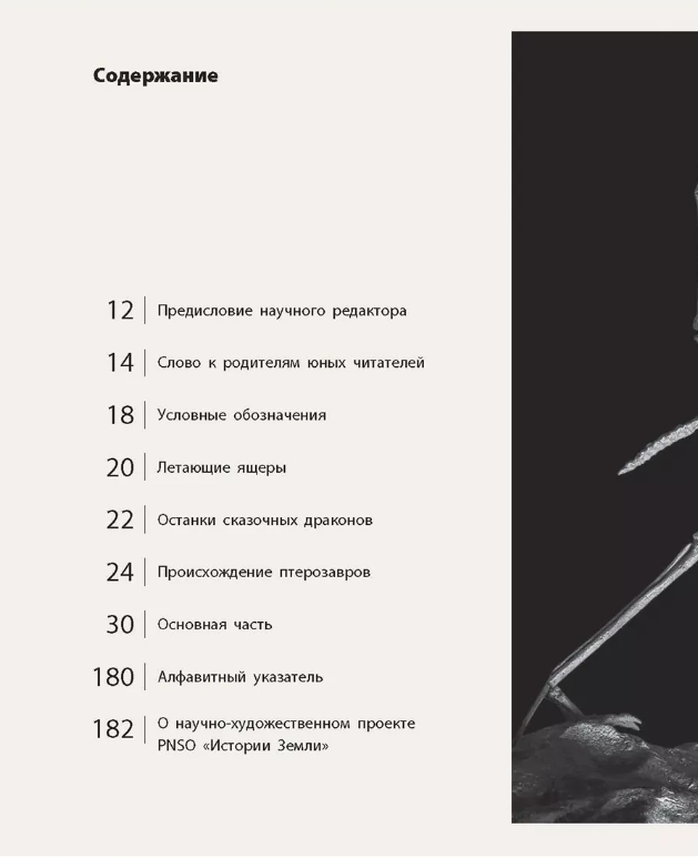 Секреты летающих ящеров (Янг Янг) - фото №13