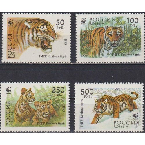 почтовые марки россия 1993г уссурийский тигр тигры mnh Почтовые марки Россия 1993г. Уссурийский тигр Тигры MNH