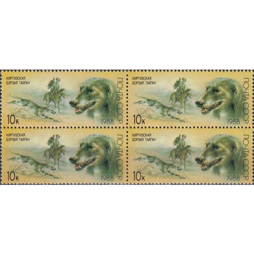 Почтовые марки СССР 1988г. Киргизская борзая тайган Собаки MNH почтовые марки ссср 1988г советские мультфильмы мультипликация mnh