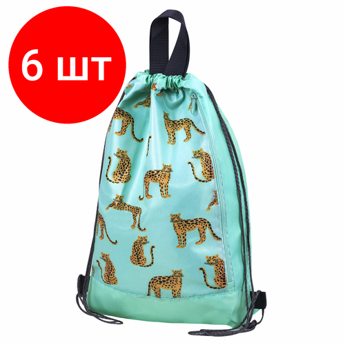 Комплект 6 шт Мешок для обуви юнландия с ручками боковой карман на молнии 46х36 см Wild Cats 271614 3611₽