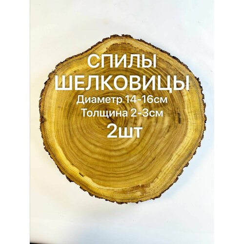 Спилы Шелковицы 14-16 см 2шт