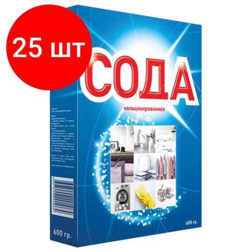 Комплект 25 шт, Сода кальцинированная 600 г, BIONIX (Бионикс)