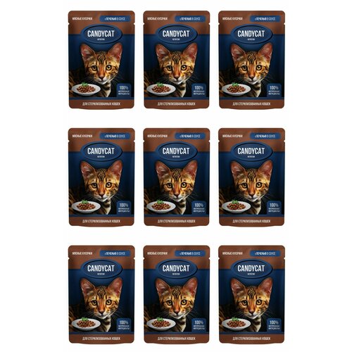 CandyCat Пауч для стерилизованных кошек, кусочки с Печенью в соусе, 85 г, 9 шт