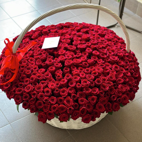 Роза красная в корзине 301 шт