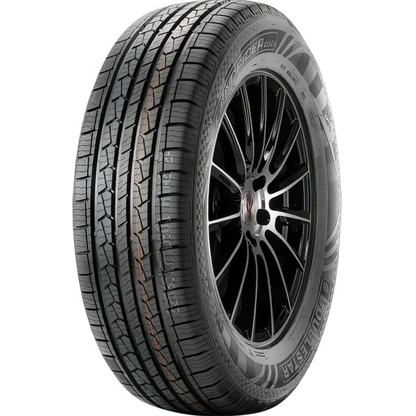 Автошина DoubleStar DS01 225/60 R17 99H