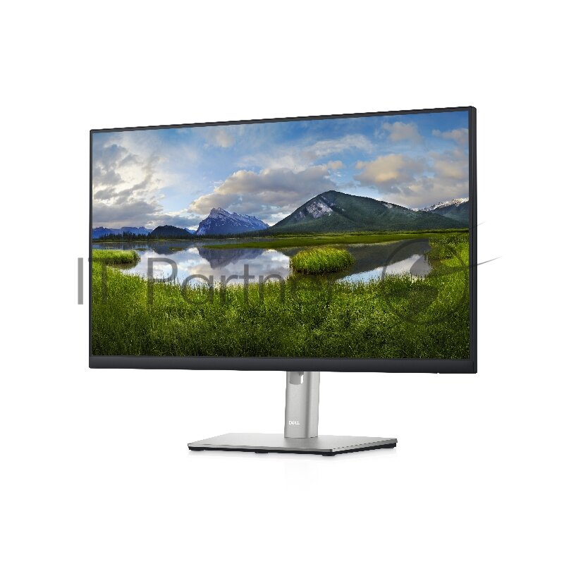 238" Монитор DELL P2422H 1920x1080 60 Гц IPS