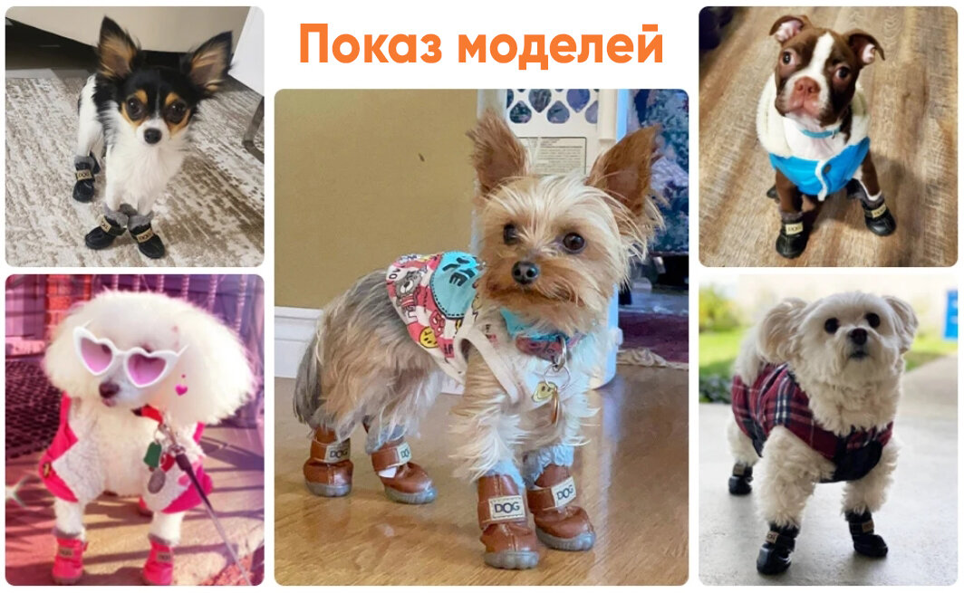 Обувь для собак TAYMLUX tiandi dog, ботинки, сапожки, обувь для мелких пород зимняя, обувь для средней собаки для лап размер 2 - фотография № 7
