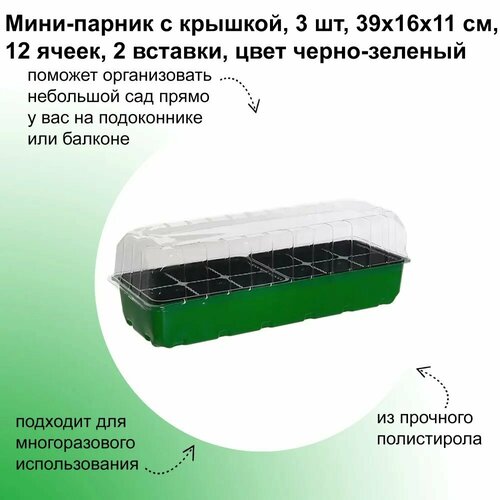 Мини-парник с крышкой 3 шт, 39х16х11 см, 12 ячеек, 2 вставки, цвет черно-зеленый. Емкость для выращивания рассады овощных, плодово-ягодных культур