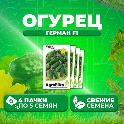 Огурец Герман F1, 5шт, AgroElita, Seminis (4 уп)