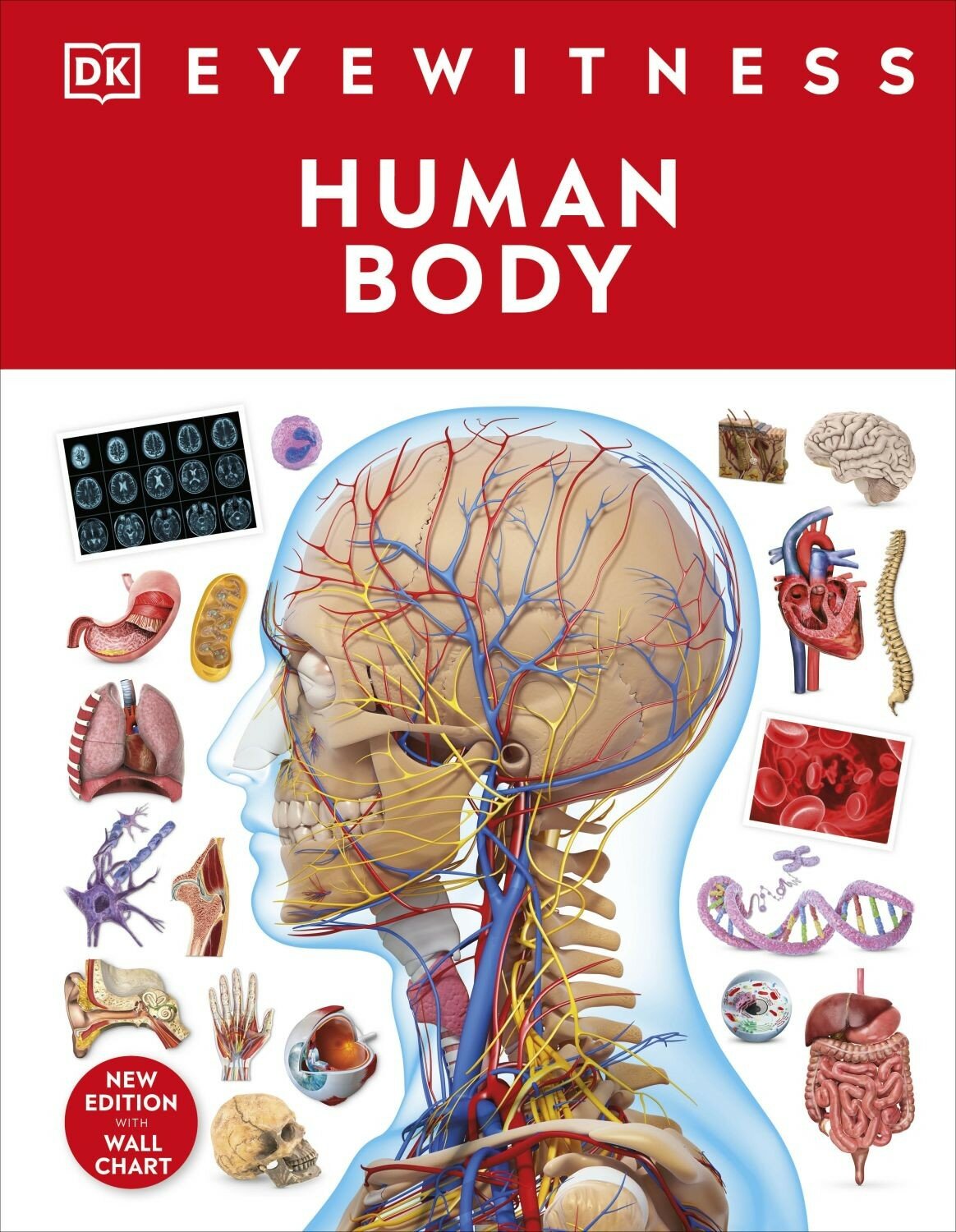 Human Body (Walker Richard) - фото №1