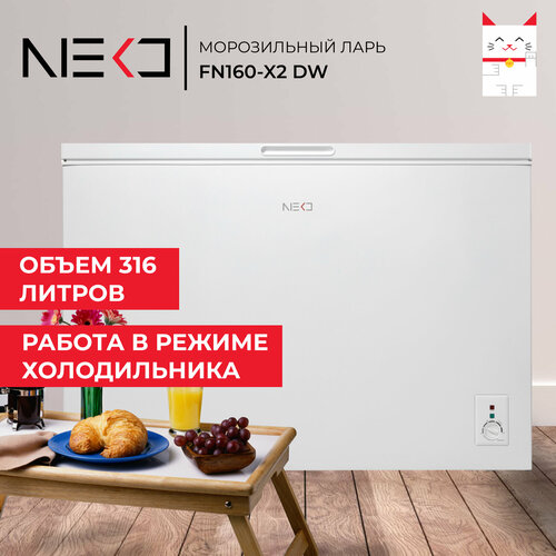 Морозильный ларь NEKO FN160-X2 DW