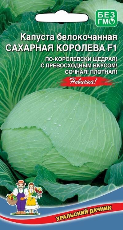 Семена Капуста белокачанная Сахарная Королева F1 0.3г Поздние (Уральский Дачник)