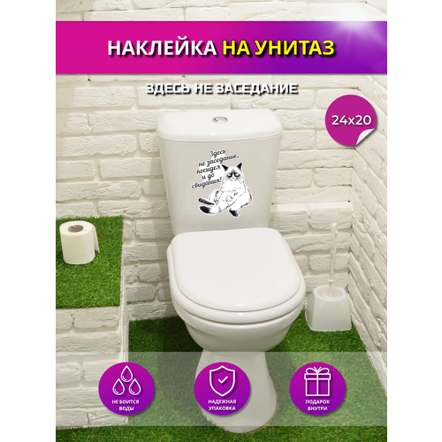 Интерьерная наклейка на поверхность унитаза мем Кот: Здесь не заседание, посидел и до свидания