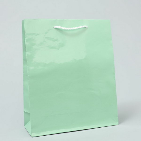 Пакет подарочный ламинированный, упаковка, "Зелёный", ML 21 x 25 x 8 см