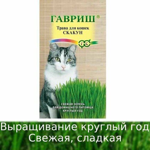 Трава для кошек (Гавриш) Скакун 2шт гавриш семена трава для кошек скакун 10 г