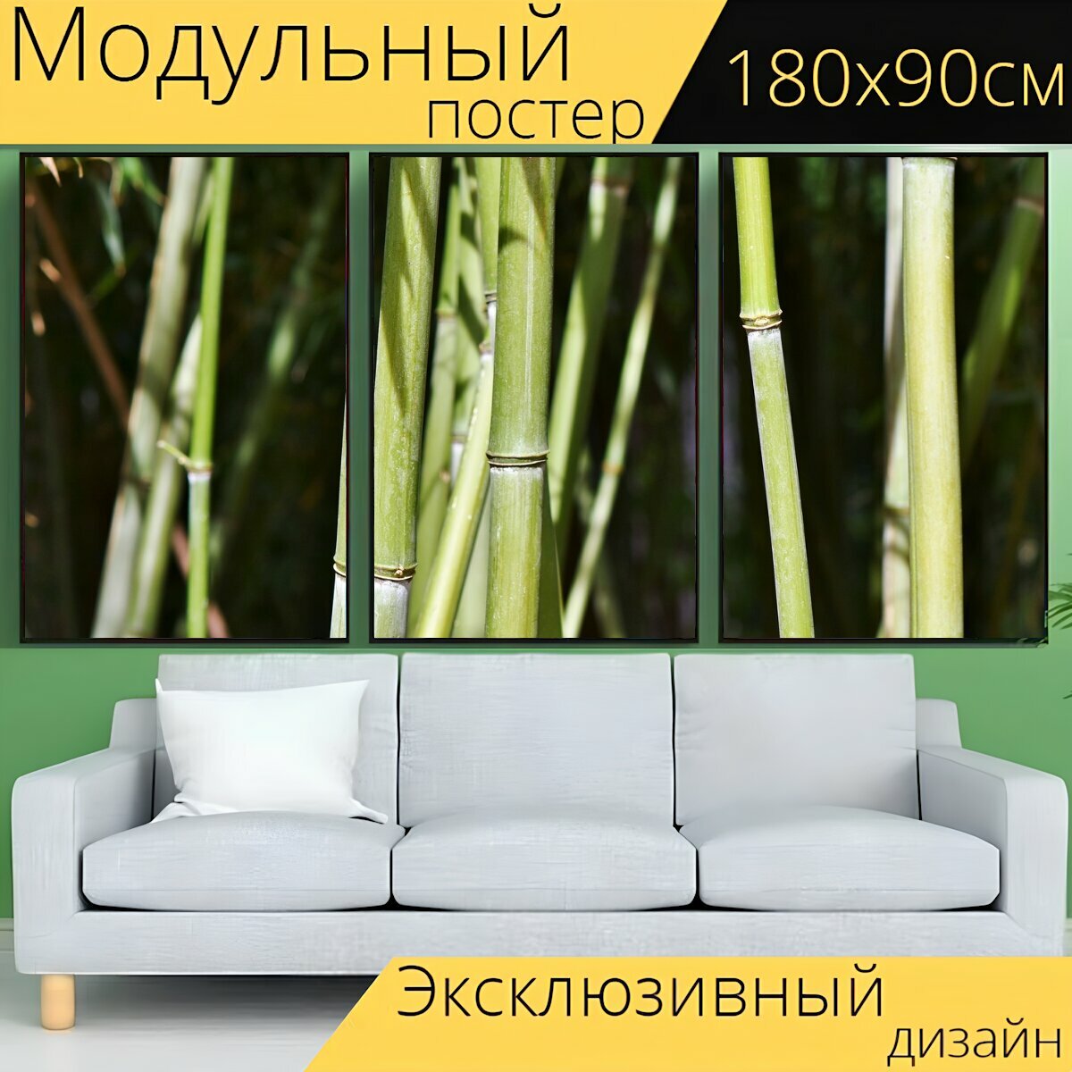 Модульный постер "Бамбук, бамбуковый лес, гигантский бамбук" 180 x 90 см. для интерьера