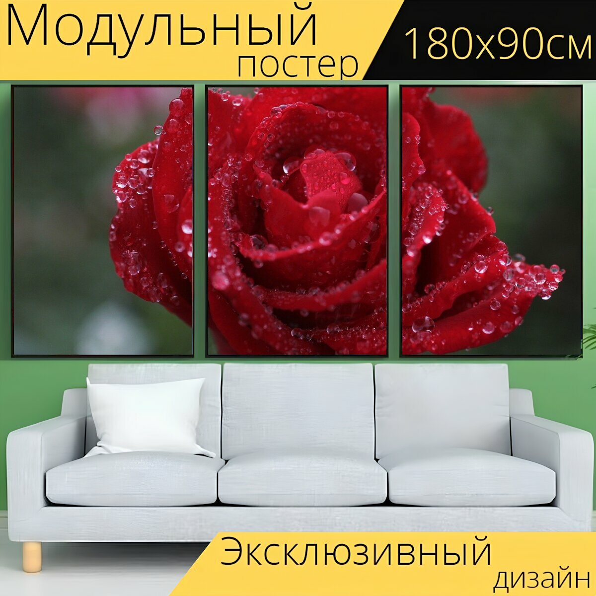 Модульный постер "Роза, красная роза, капли дождя" 180 x 90 см. для интерьера