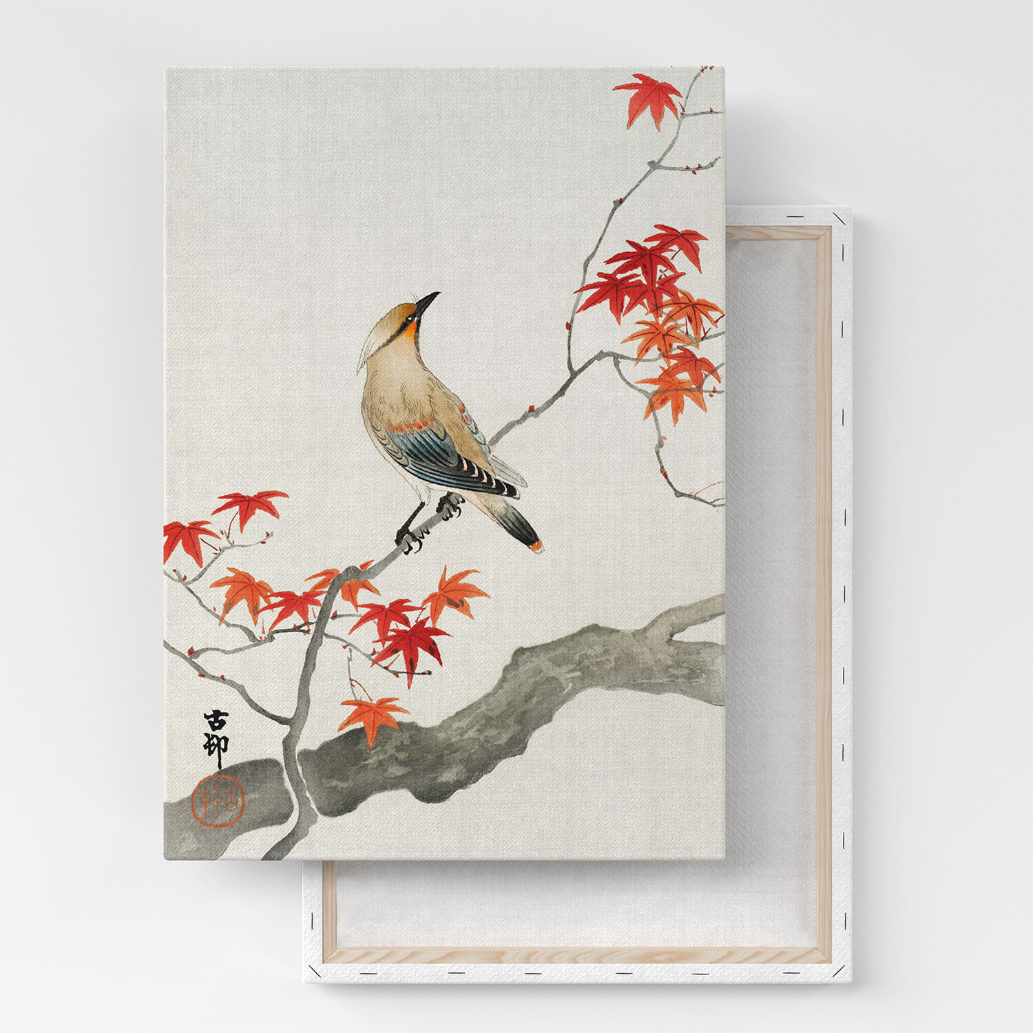 Картина на холсте, репродукция / Косон Охара - Japanese plague bird on maple / Размер 30 x 40 см