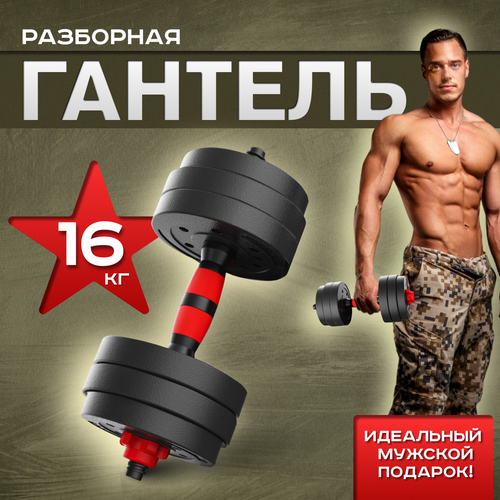 фото Гантель ахиллес разборная для фитнеса 1 шт. по 16 кг атлант-спорт