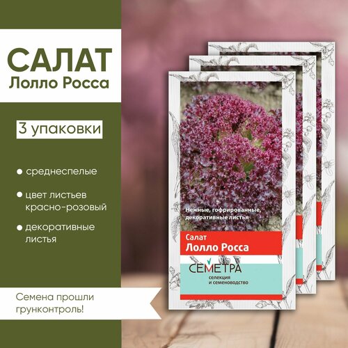 Семена Салат 