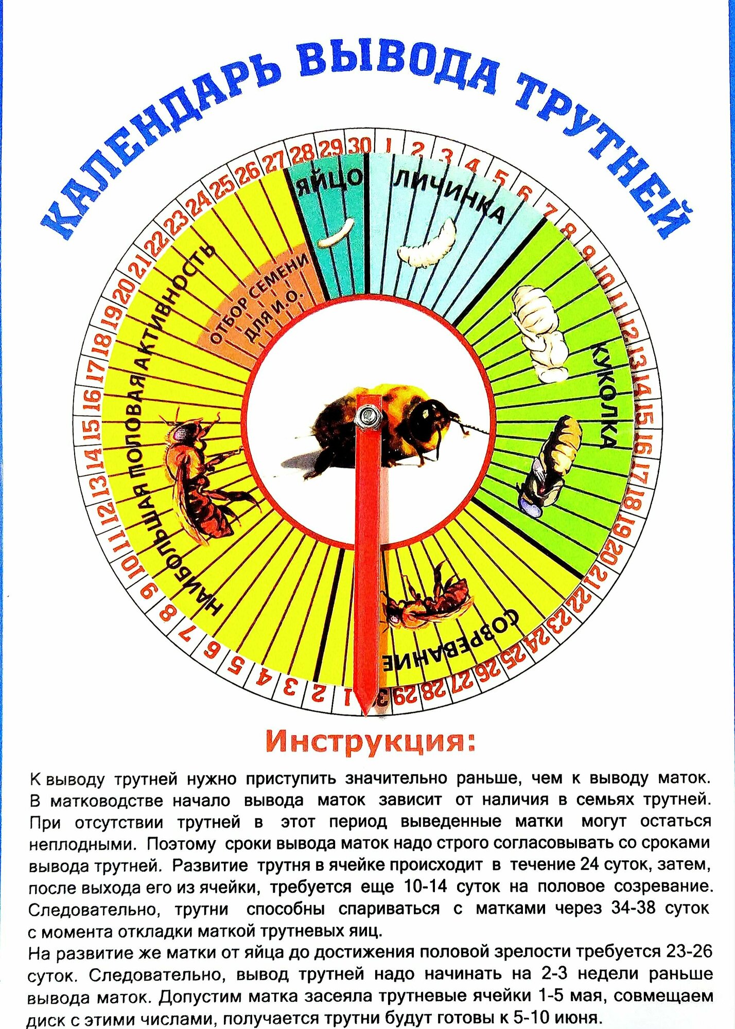 Календарь пчеловода+вывода маток+трутней, premium - фотография № 7