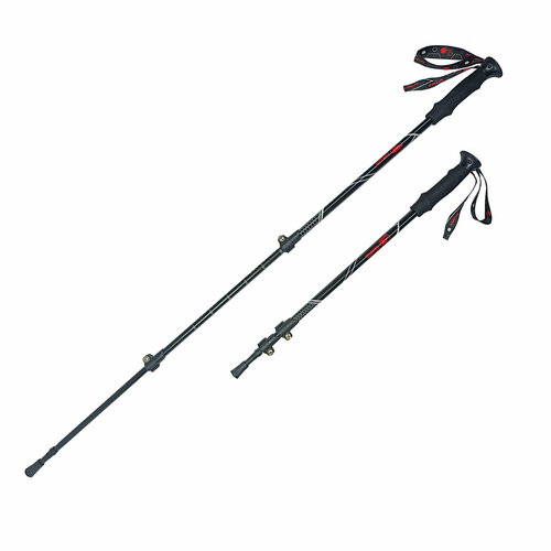 фото Палки треккинговые rgx tfg-105 (65-135см.) (65-135 см.)
