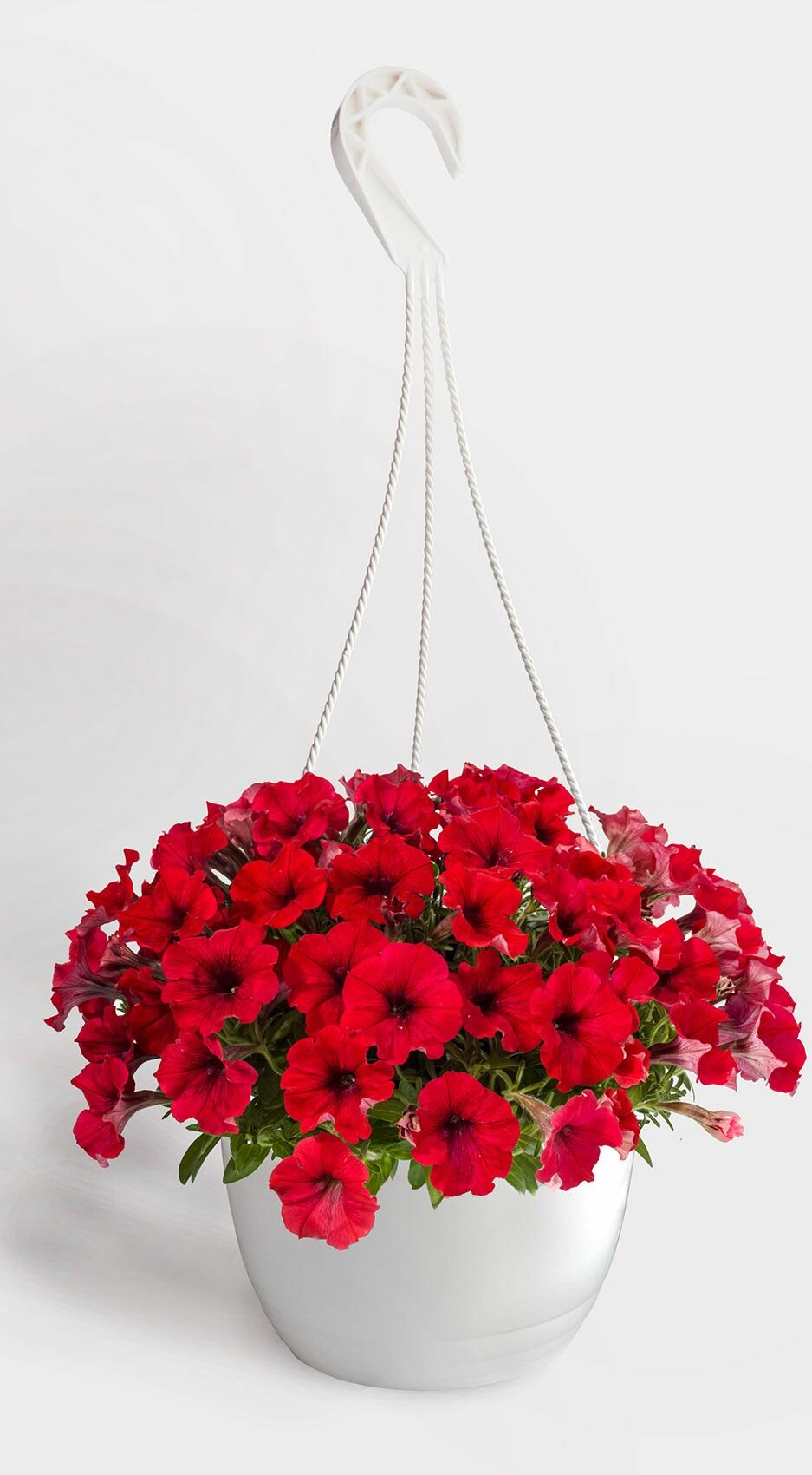 фото Горшок подвесной Петуния 3,7л белый / 5 шт