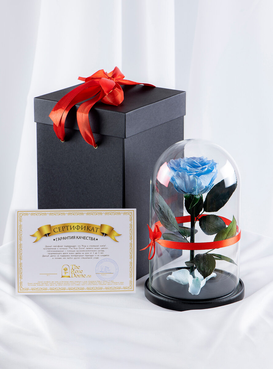 Живая Роза в колбе TheRoseDome Premium стабилизированная + подарочная коробка, цветок в колбе, вечная роза, подарок, декор для интерьера, цвет: голубая