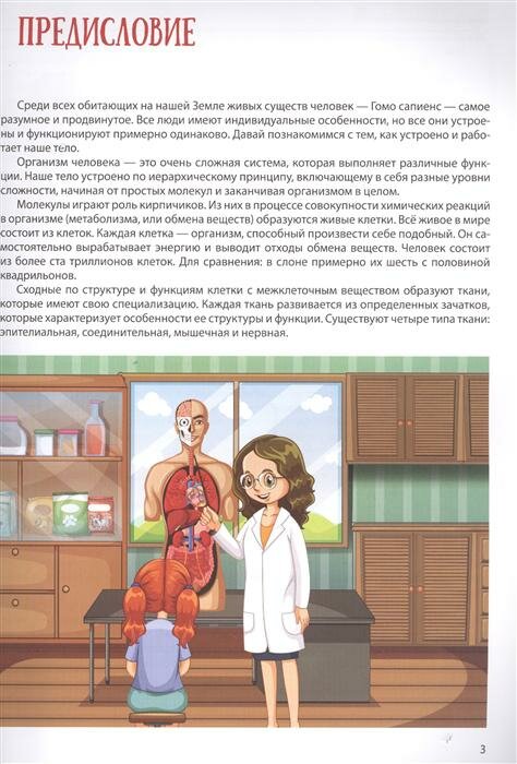 Атлас анатомии для детей (Швырев Александр Андреевич) - фото №3