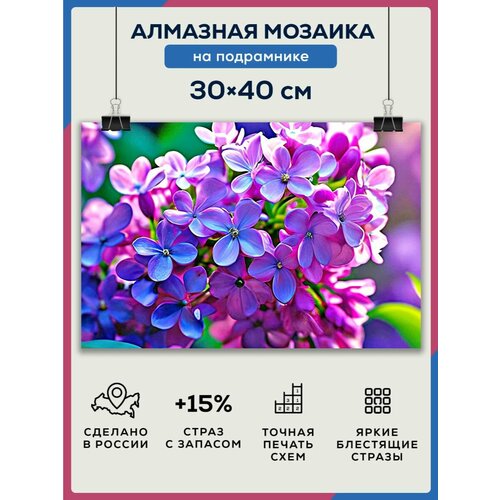 Алмазная мозаика 30x40 Сирень на подрамнике