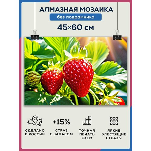 Алмазная мозаика 45x60 Клубника без подрамника алмазная мозаика 45x60 краб красный без подрамника