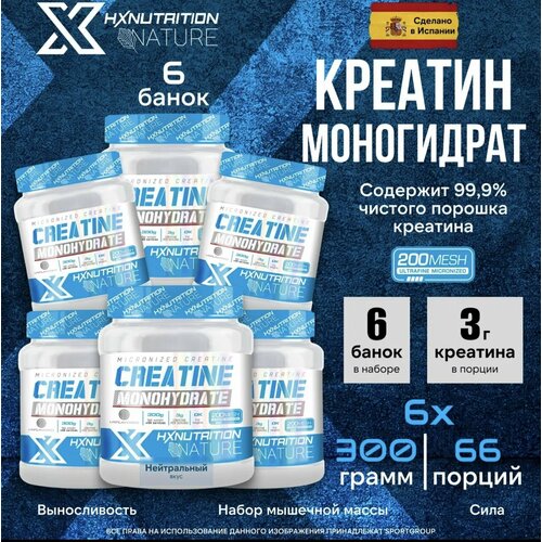 6 банок по 300 гр, Креатин Моногидрат HX NUTRITION Nature Creatine Monohydrate, производство Испания