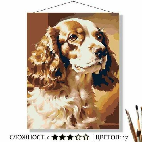 Картина по номерам на холсте 50х40 Спаниель картина по номерам на стену собака спаниель