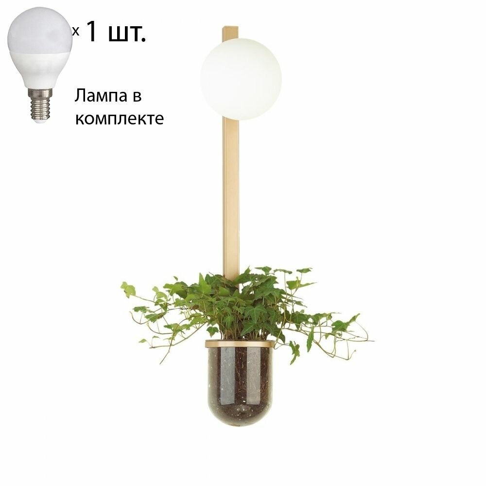 Бра с лампочкой Odeon Light Flower 4682/1WBLamps E14 P45