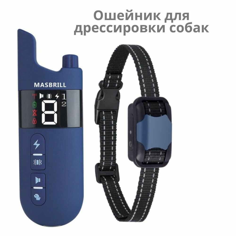 фото Ошейник для дрессировки собак