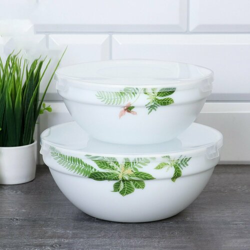 Салатники с крышкой 2 штуки Тропик 778₽