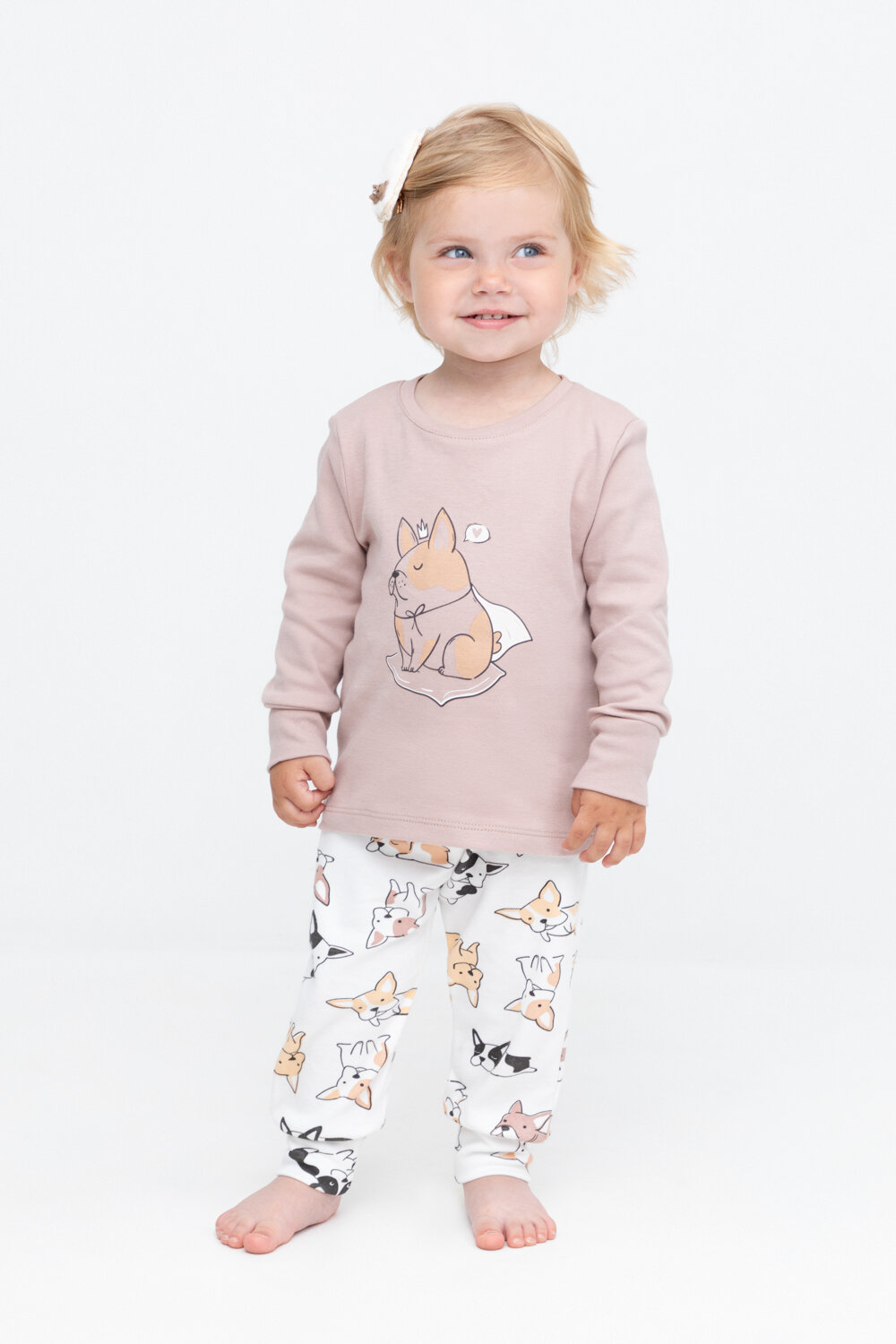 Пижама для девочки из натурального хлопка, Crockid К 1541/24/кофейный,мопсы на сахаре р 56/98