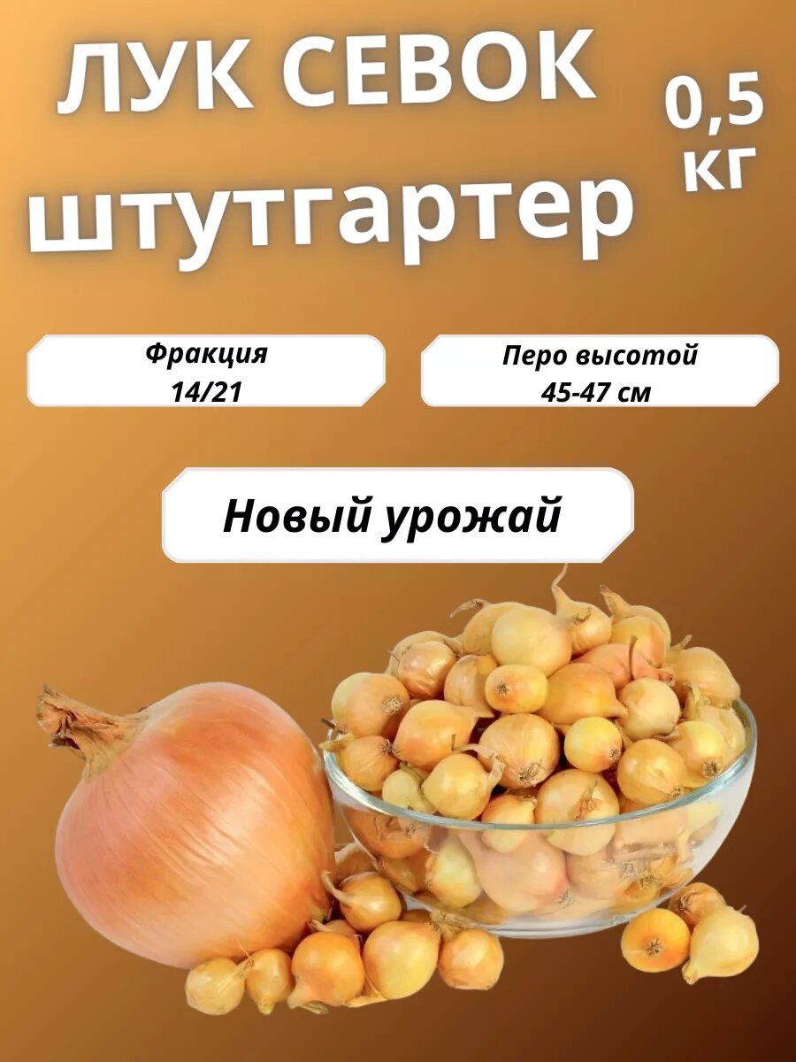 Лук севок Штутгартер Ризен 0.5 кг