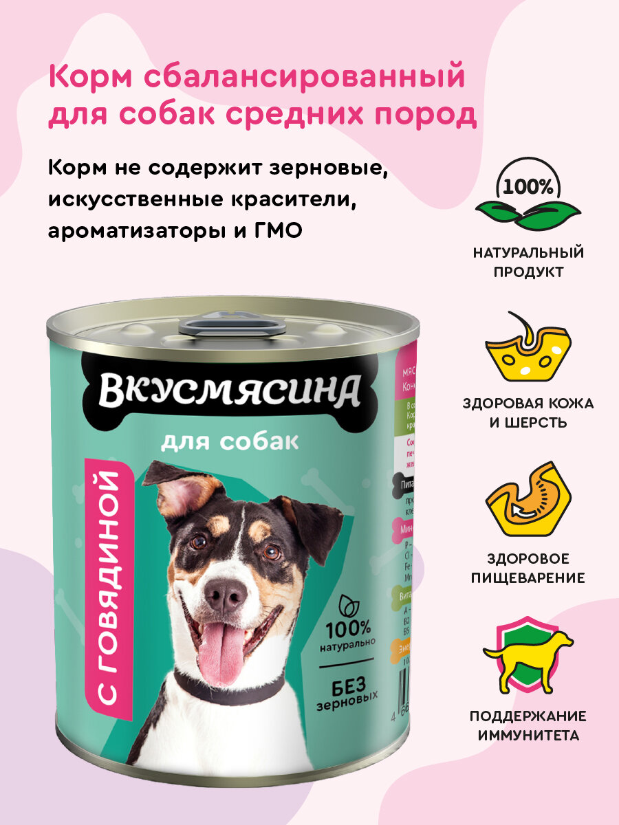 Корм для собак влажный, вкусмясина с говядиной, 340 г х 12 шт. — фото 1