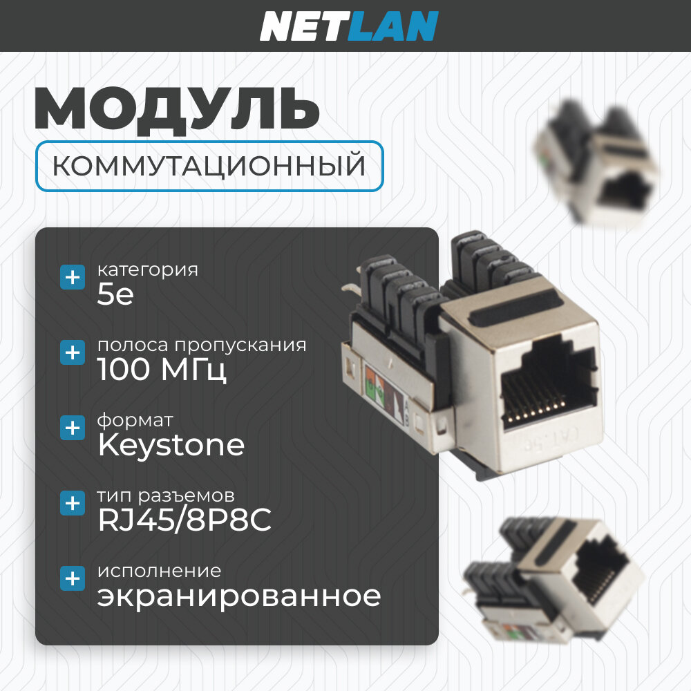 Модуль-вставка NETLAN типа Keystone, Кат.5e, экранированный, металлик, 10 шт