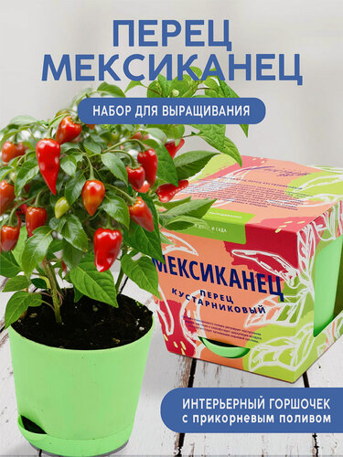 Изображение товара Перец Мексиканец Набор для выращивания растений от бренда"Тысяча листьев"