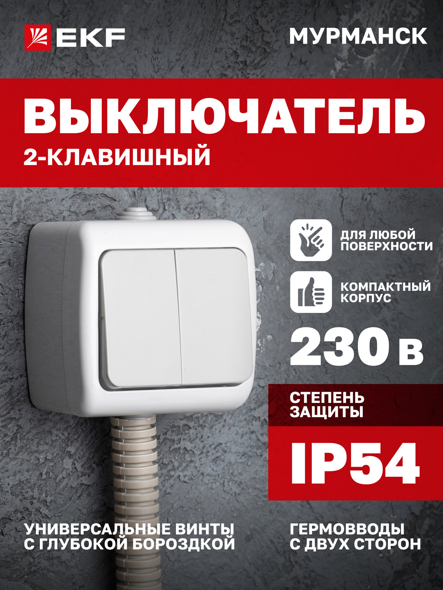 Выключатель двухклавишный накладной EKF 10А, IP54, уличный (под навесом) серый, коллекция Мурманск
