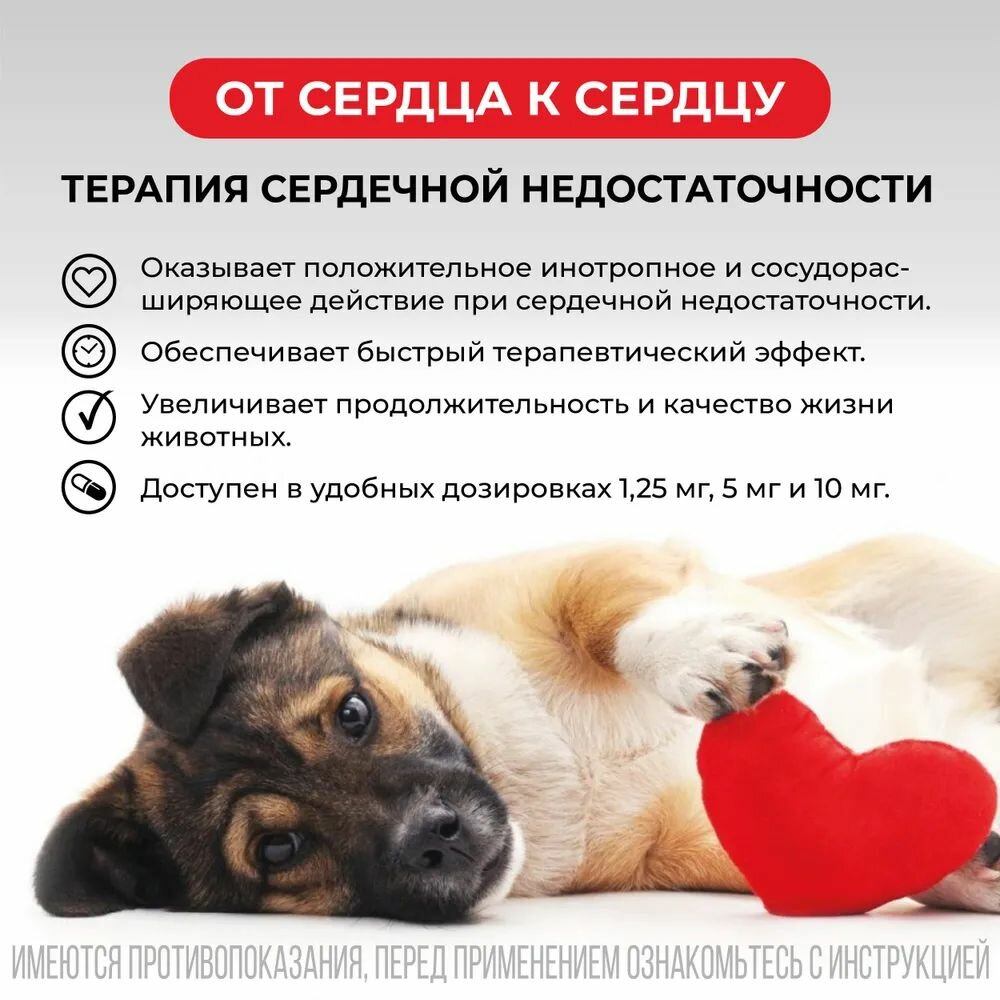 Таблетки VIC Авекардит 1.25мг — фото 1