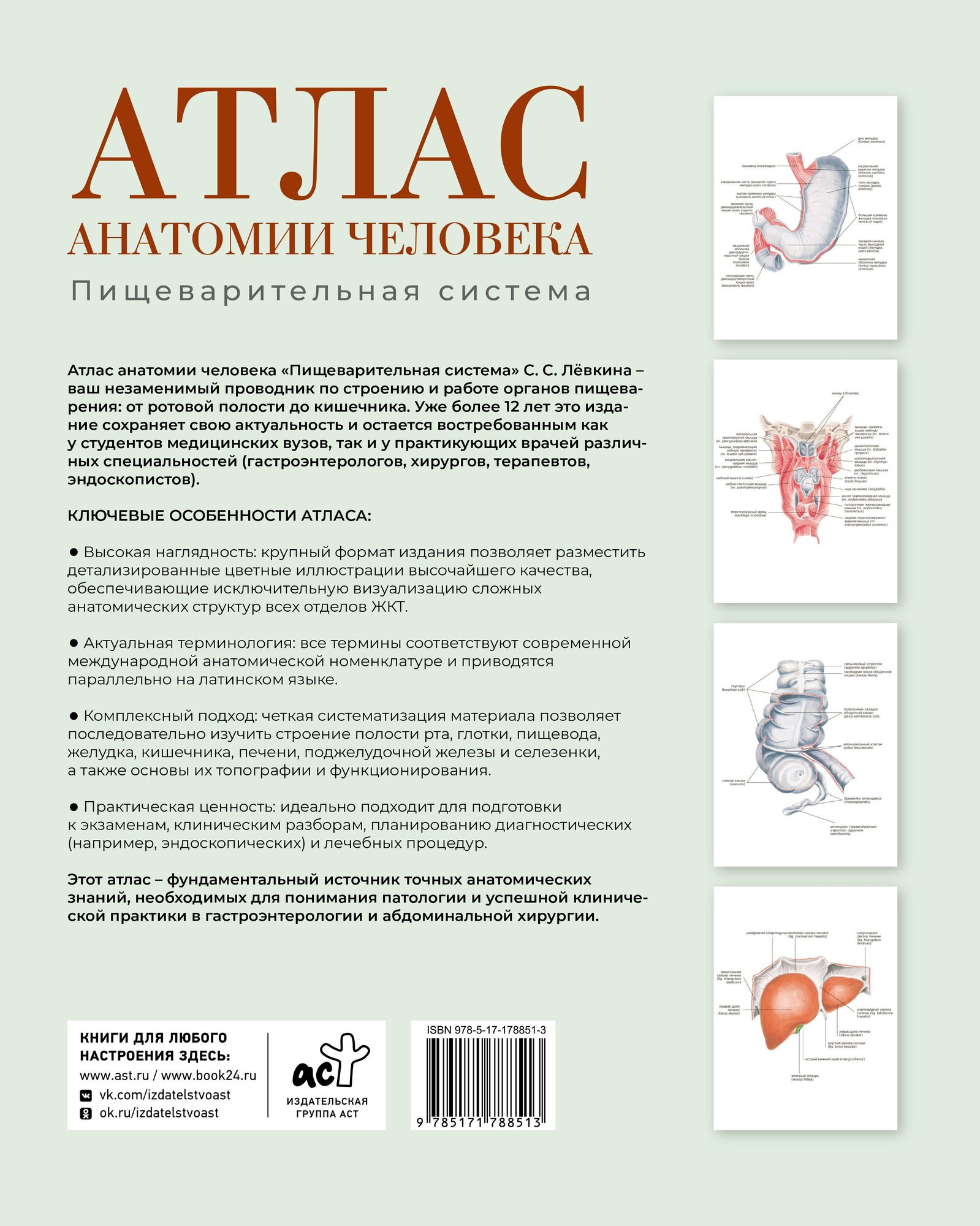 Атлас анатомии человека. Пищеварительная система — фото 1
