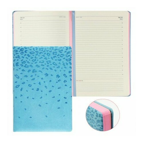 Ежедневник А-5 недатир FIORENZO кожзам розовый срез блинтовое тисн синий 209770 655₽