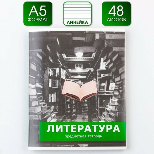 Тетрадь предметная 48 листов, А5, предметы, со справочными материалами «1 сентября: Литература», обложка мелованный картон 230 гр, внутренний блок в линейку 80 гр, белизна до 80%, блок №2. тетрадь предметная металл 48 листов в линейку литература со справочным материалом обложка мелованный картон белизна блока 75%