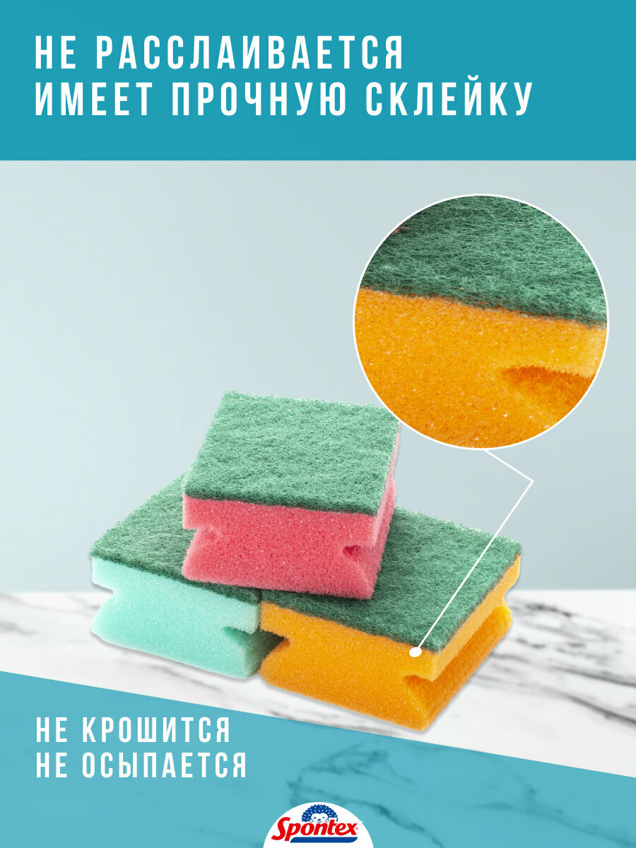 Губка для мытья посуды "COLORMAX" Spontex, 1 уп/3 шт, цветные — фото 1
